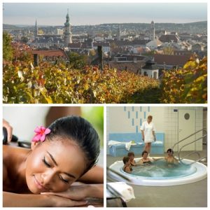 Wellness in Ungarn